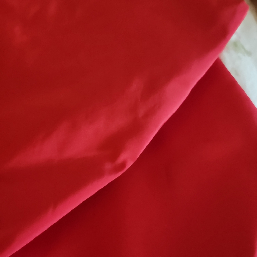 Sandy Liang Roma Bag (Red) - Picture 7 of 9